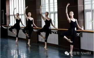 吃瓜体育生和舞蹈室1v1,校园风云对决