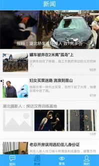 今日爆料,今日爆料背后的惊人真相