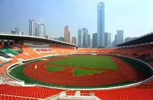 体育圈吃瓜爆料半个体育圈的人都在水立方,揭秘体育圈半壁江山背后的秘密